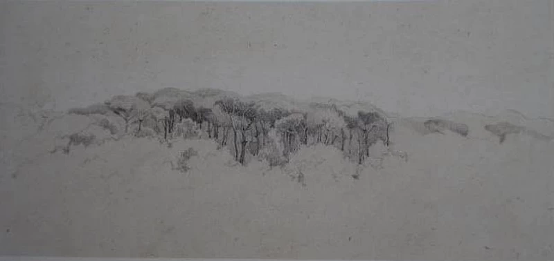 Pineta di Castiglioncello - Collezione Carlo Pepi, Crespina (Pisa)